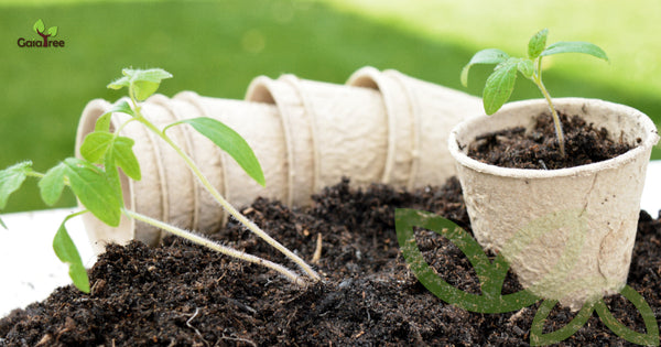 10 Ways to Save the Planet