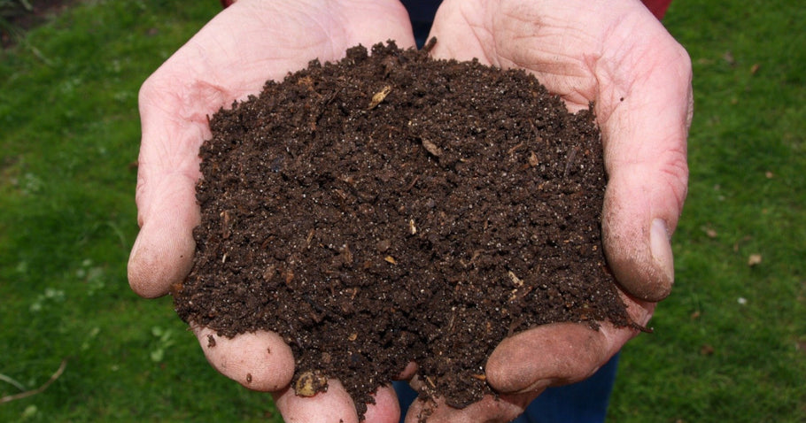 Feed your soil with compost
